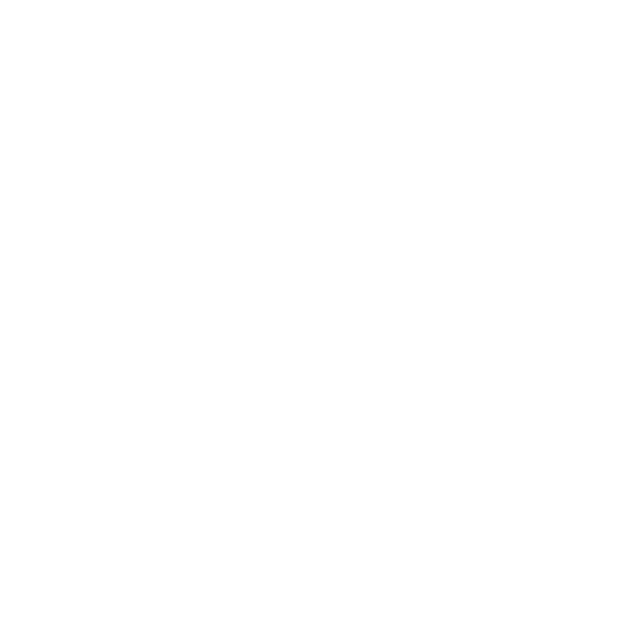 Payment Skrill